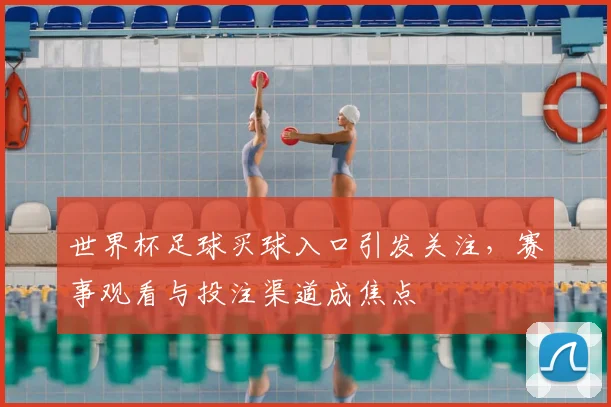 世界杯足球买球入口引发关注，赛事观看与投注渠道成焦点