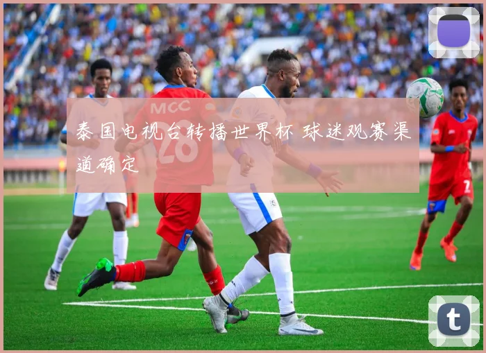 泰国电视台转播世界杯 球迷观赛渠道确定