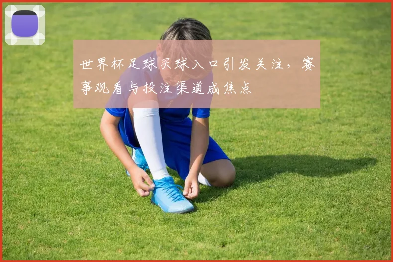 世界杯足球买球入口引发关注，赛事观看与投注渠道成焦点