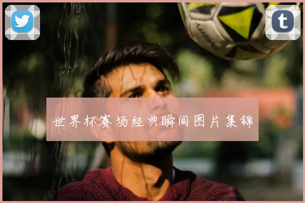 世界杯赛场经典瞬间图片集锦