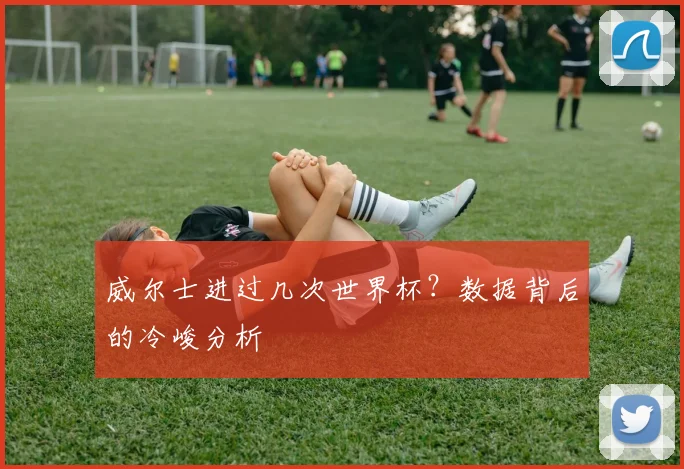 威尔士进过几次世界杯？数据背后的冷峻分析